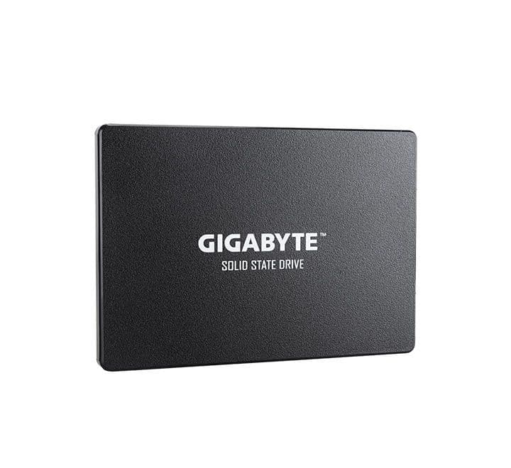 Unidad en estado solido Gigabyte 256GB SSD - 1
