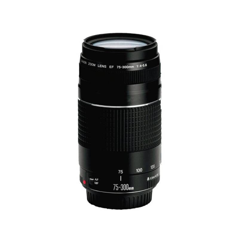 Camara Canon Eos Sl3 Con Lente Ef-S 18-55mm - 2