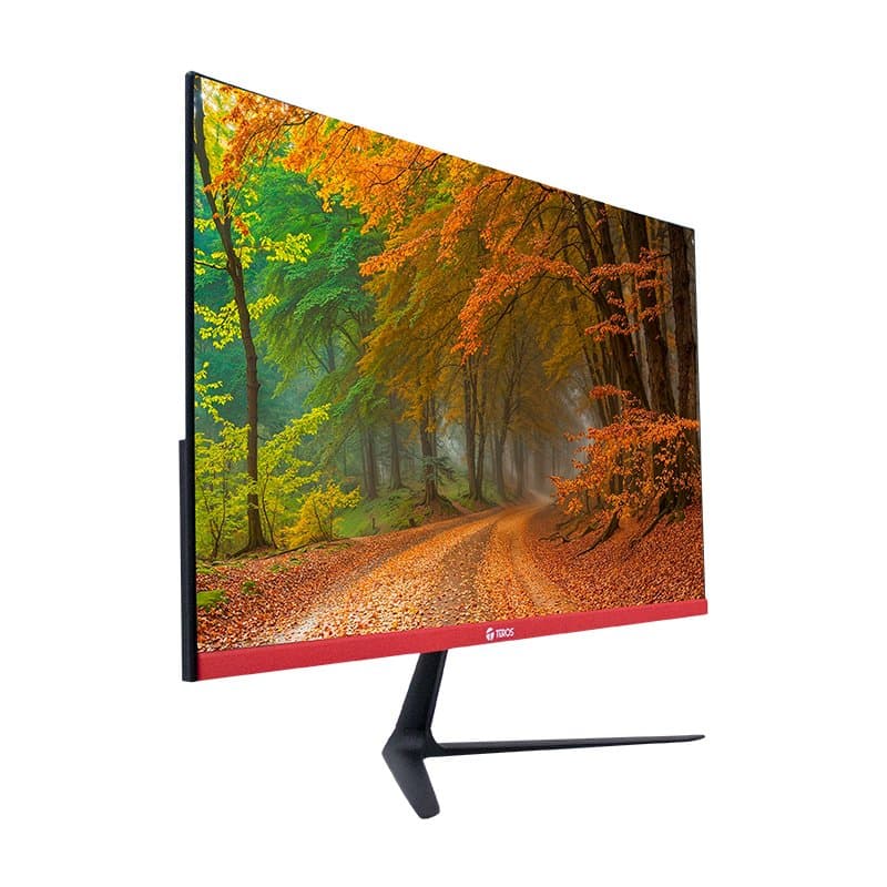 Monitor Curvo Teros TE-2403S, 23.8" FHD VA, 144HZ, 1MS, HDMI, DP, Earphone Out - 1