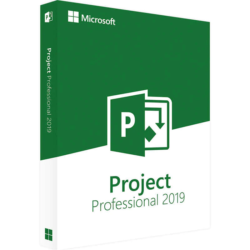 project-professional-2019-licencia-original-formato-digital-1pc